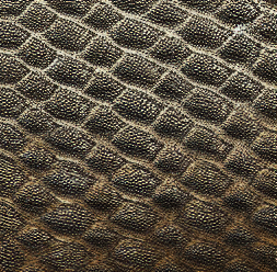 What is the difference between alligator and crocodile leather? – Chic Cuir